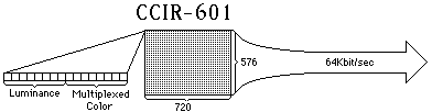gif data